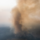 Illustration for article titled Fewer Fires Burned the Amazon in September, But Deforestation Continues